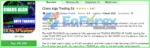 Chaos Algo Trading EA MT4