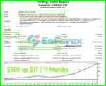 Cuantastic Gold EA Backtests Trading Results