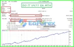 DO IT EA MT4 Backtests