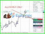 EA Trend BB Review