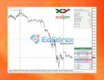 EA XY Scalper MT4 Review