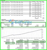 EXTRAORDINARY Scalper EA MT4 + SetFile