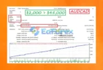 FIRESTORM SCALPER EA V5 MT4 Reviews