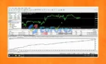 FX P2R ViP VERSION eEA MT4 review