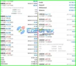 FX SCALPER X-XX-XXX EA MT4
