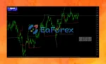 Fibonacci Progression With Breaks Review