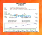 Forex Yields EA MT4 Backtest