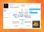 Gold Trade Expert MT4 Live Trading Results