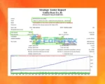 Golden Beats EA Backtest Trading Results