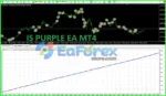 IS PURPLE EA MT4 Review