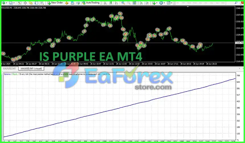 IS PURPLE EA MT4 Review