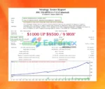 Jog Trader EA V12 Backtest