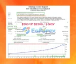 Jog Trader EA V12 Backtests