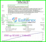 MM Flip CodePro EA Backtest Results