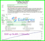 MM Flip CodePro EA Backtest Trading Results
