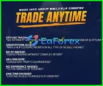 MM Flip CodePro EA Review