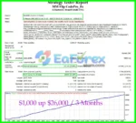 MM Flip CodePro EA Trading Results