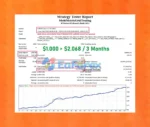 Multi Matrix Grid Trading EA Review