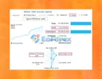 Nexus EA Forex EA Signal