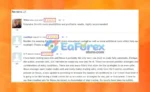 Nexus EA Forex MT5 Review