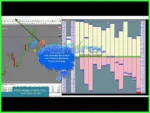 Performing Forex Tool MT4 (Official version 1441+)