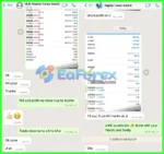 RFP VISION EA Reviews