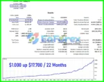 RoyalPrince Scalper MT5 Backtesting