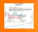 SRF PRO EA MT4 Backtest