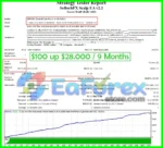 SoftTechFx Scalp EA Backtest