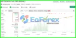 SoftTechFx Scalper EA Review