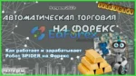 Spider EA 2023 MT4 Setfiles