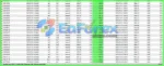 TeslaEaSoft Bear EA MT4