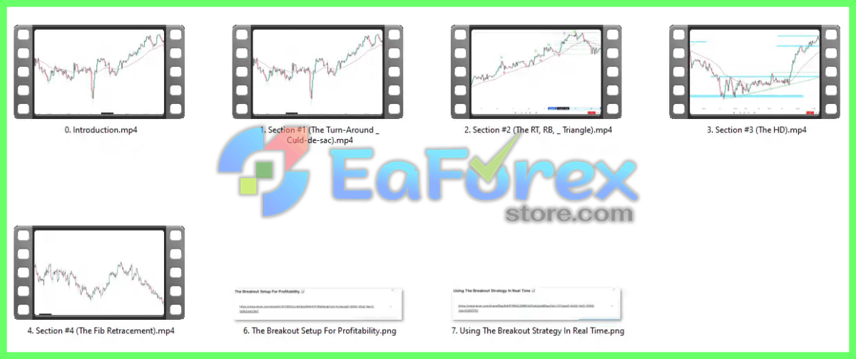 The Holy Grail Forex Strateg