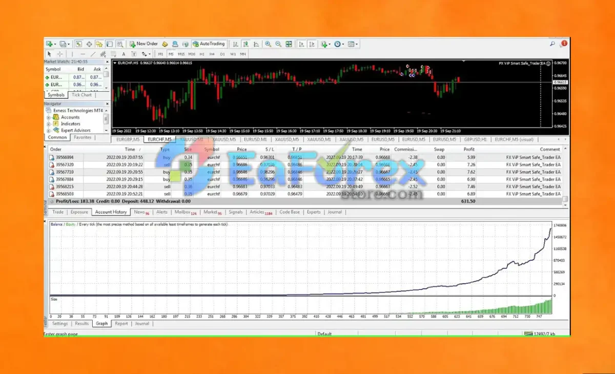 VIP Smart Safe Trader review