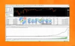 VIP Smart Safe Trader review
