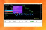 White Hat FX EA MT5 Reviews