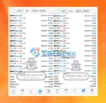 White Hat FX EA Results