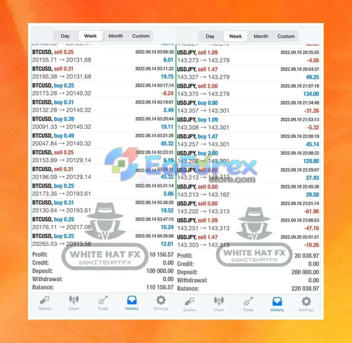 White Hat FX Results