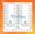 White Hat FX Results
