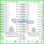 White Hat FX Results