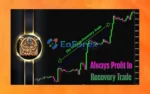 Your First Chance EA MT4 Reviews