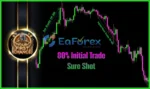 Your First Chance EA MT4 Trading Reviews
