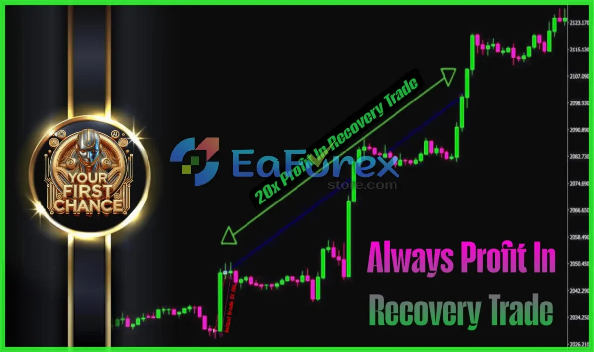 Your First Chance EA Review