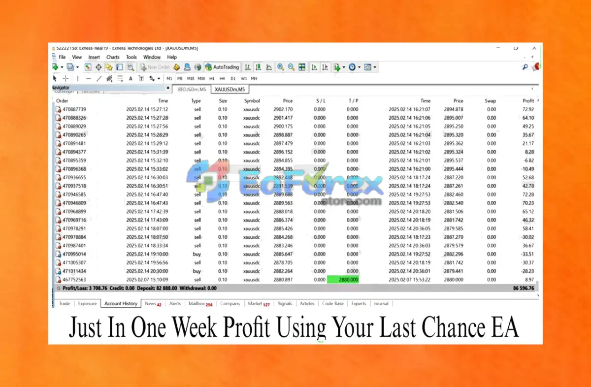 Your Last Chance EA MT4 Live Trading Results