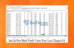 Your Last Chance EA MT4 Live Trading Results