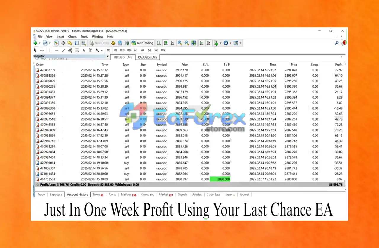 Your Last Chance EA MT4 Live Trading Results