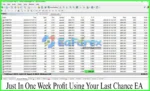 Your Last Chance EA MT4 Live Trading Results