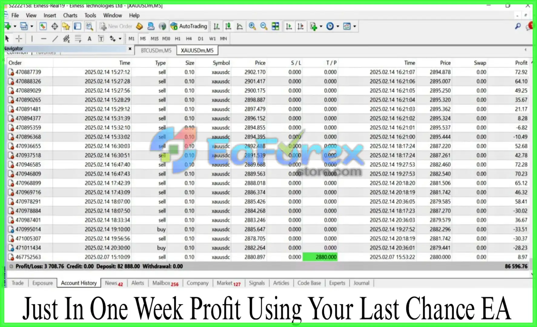 Your Last Chance EA MT4 Live Trading Results