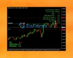 the king hedging forex reviews