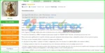 Adelio EA MT4 Overview